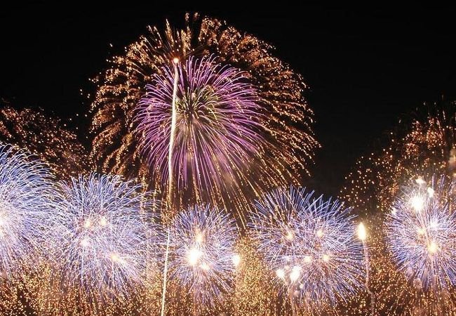 🎆 쓰치우라 전국 불꽃 경기 대회 이미지 1